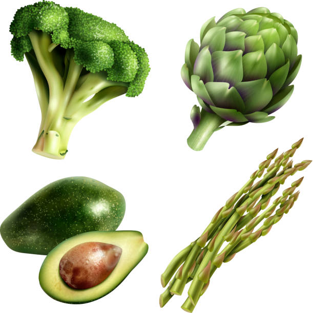3d реалистичный набор овощей - artichoke stock illustrations