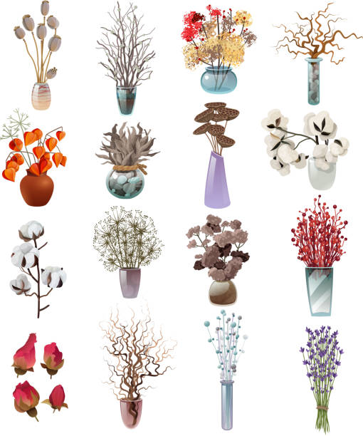 illustrazioni stock, clip art, cartoni animati e icone di tendenza di set di fiori secchi - stem poppy fragility flower