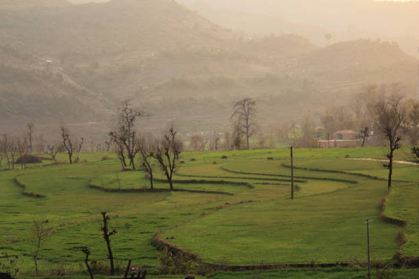 istock Green Agriculture field valley at sunset 1201168141