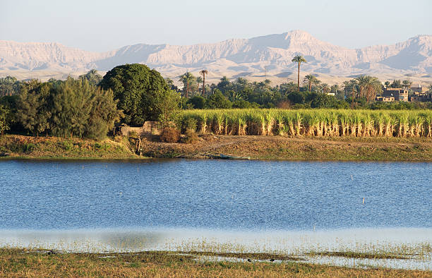 This is a view between Luxor and Aswan on the Nile, in Egypt.