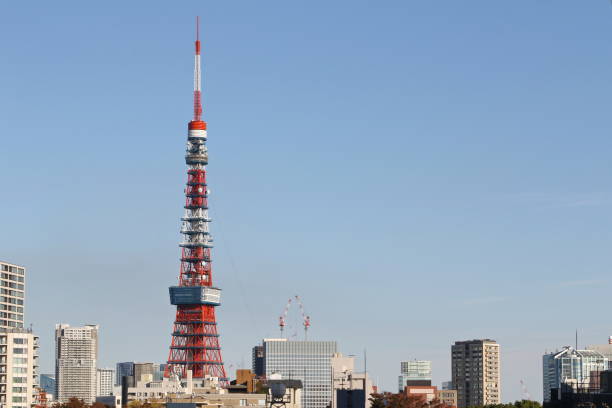 istock Cityscape with Tokyo Tower, Tokyo, Japan 1201168436
