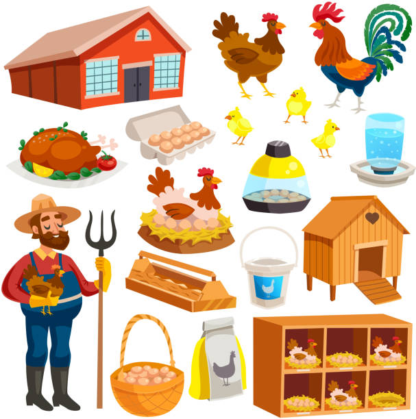 ilustrações de stock, clip art, desenhos animados e ícones de poultry farm chiken hennery - chicken house