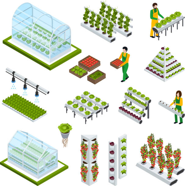ilustrações de stock, clip art, desenhos animados e ícones de hydroponics aeroponics isometric icons - greenhouse