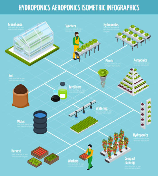 гидропоника аэропоника изометрическая инфографика - aeroponics stock illustrations