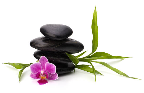 istock Orchid flower and stones 120117128
