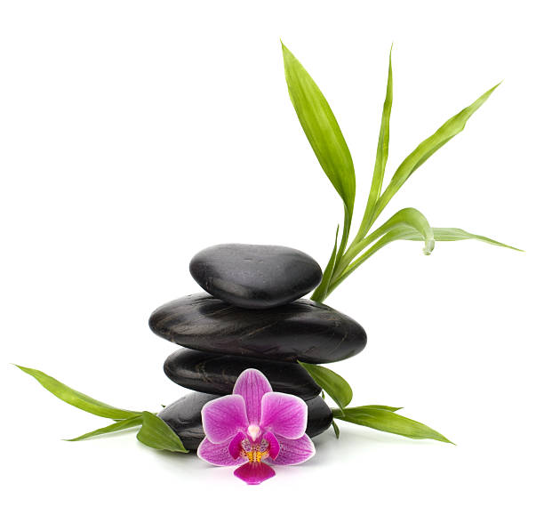 istock Orchid flower and stones 120117192