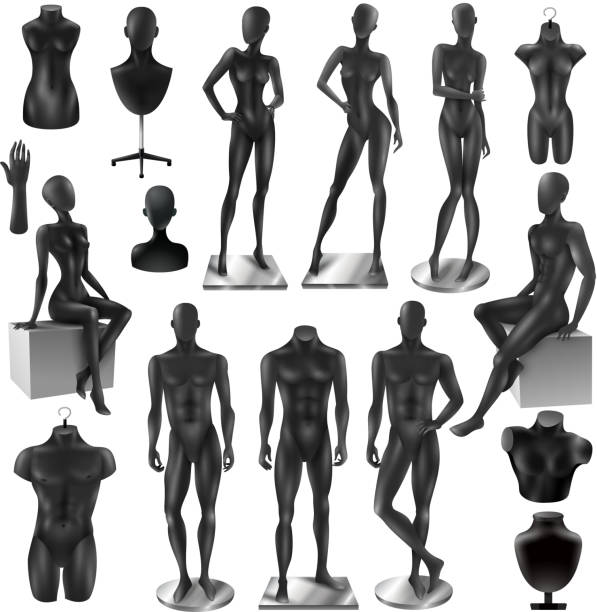 ilustrações de stock, clip art, desenhos animados e ícones de mannequins set - mannequin naked female doll