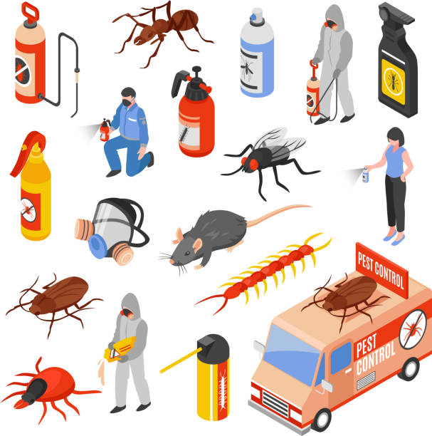 ilustrações, clipart, desenhos animados e ícones de controle de pragas 3d conjunto isométrico - service pest insect fly