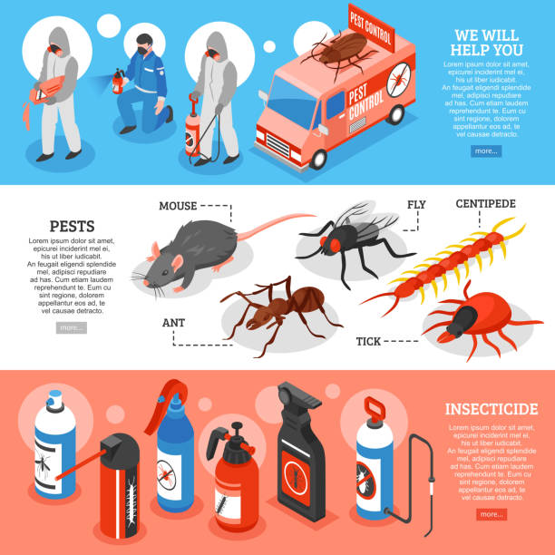 ilustrações, clipart, desenhos animados e ícones de bandeiras horizontais isométricas de controle de pragas - centipede poisonous organism toxic substance insect