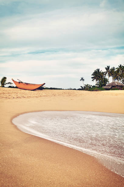 Retro color toned picture of an empty tropical beach, Sri Lanka.