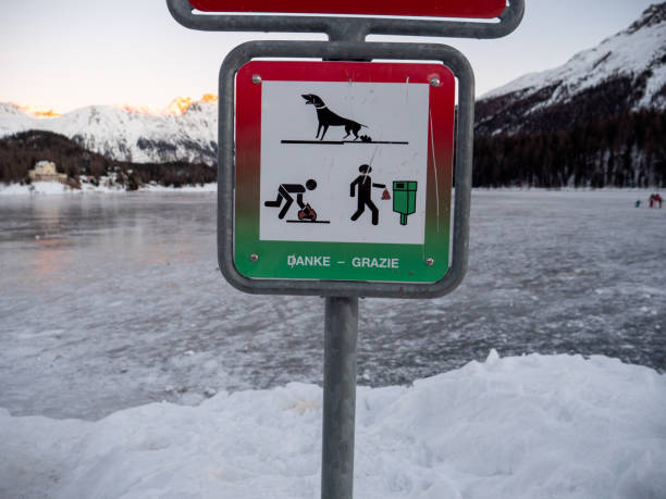 istock Clean dog poo sign 1201173128