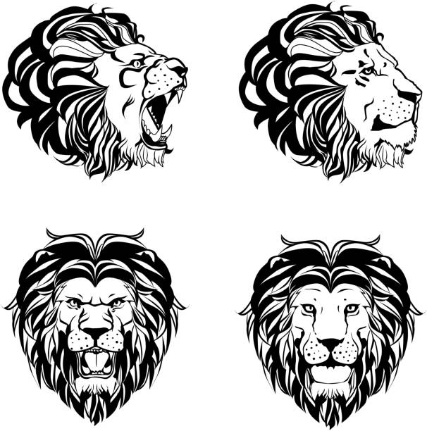 ilustrações de stock, clip art, desenhos animados e ícones de lion engraving set - lion africa safari south africa