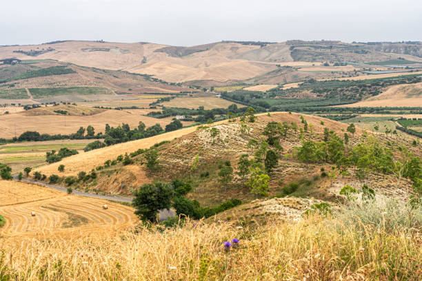 istock Rural landscape in Basilicata at summer 1201174518