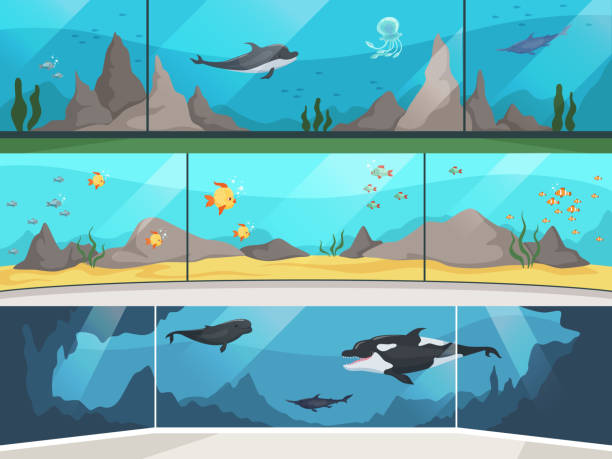 muzeum akwarium. podwodne zoo dzieci z rodzicami oglądania dużych ryb wektor poziomy banner - fish tank stock illustrations