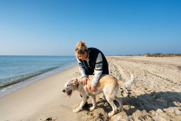 istock Young Woman with her dog on the beach 1201177530