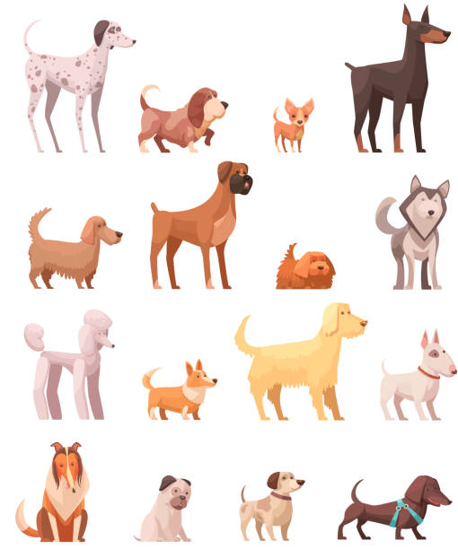 ilustraciones, imágenes clip art, dibujos animados e iconos de stock de iconos de perro retro dibujos animados - beagle dog purebred dog pets