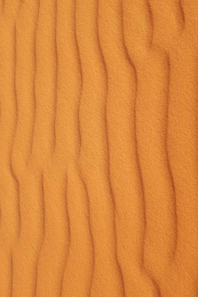 istock Bright orange rippled desert sand for a warm and vibrant summer background 1201177608