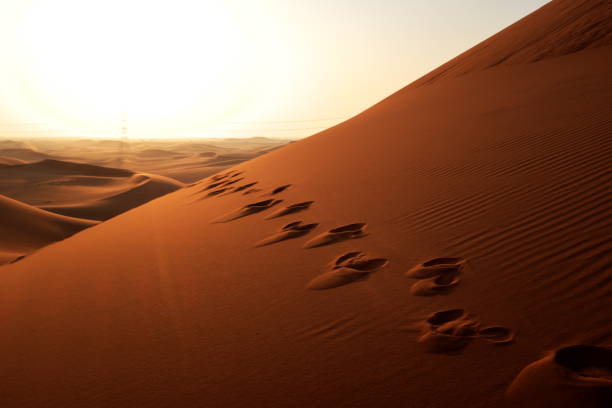istock Footprints on sand leading to sunrise in the desert 1201177841
