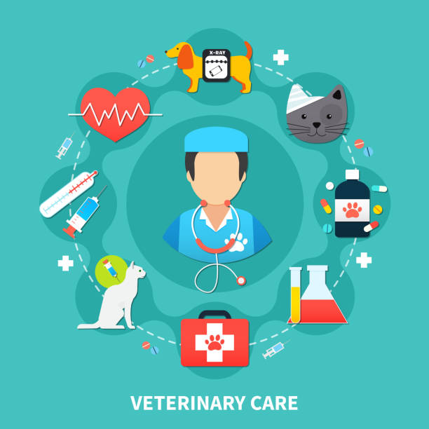 ilustrações de stock, clip art, desenhos animados e ícones de pet care - vet domestic cat veterinary medicine stethoscope