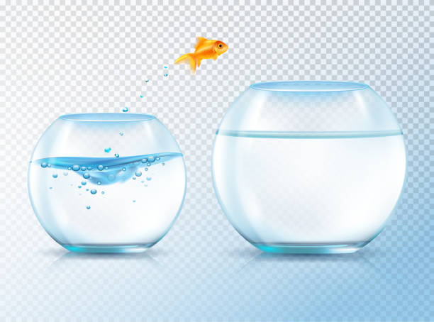 물고기 가 그릇 밖으로 점프 - casting glass stock illustrations