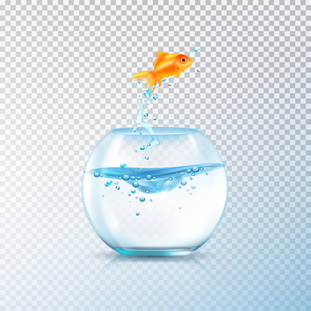 My Image 26