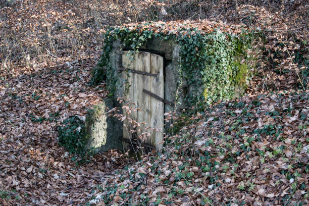 vieille porte dans le sol dans les bois en suisse - wine cellar door house photos et images de collection