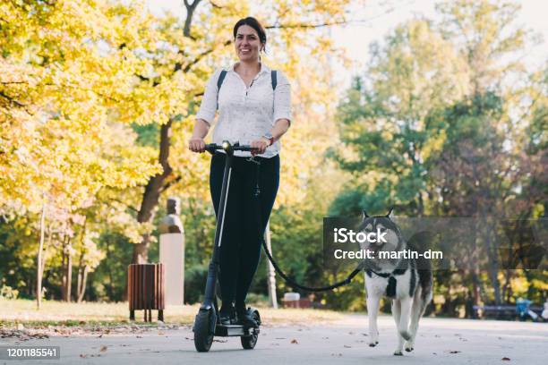Mujer Con Scooter De Montar A Caballo Para Perros Foto de stock y más banco de Correr - Correr, Perro, Aire -