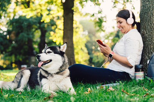Siberian husky with owner feeling relaxed in the park