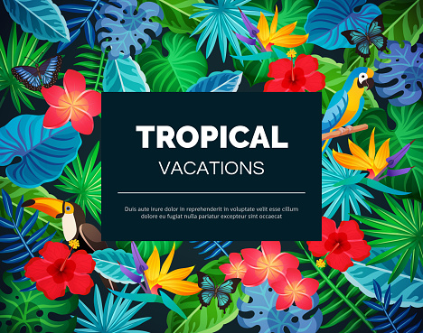 Tropical vacations background with colorful exotic blooming flowers butterflies toucans and black banner in middle flat vector illustration