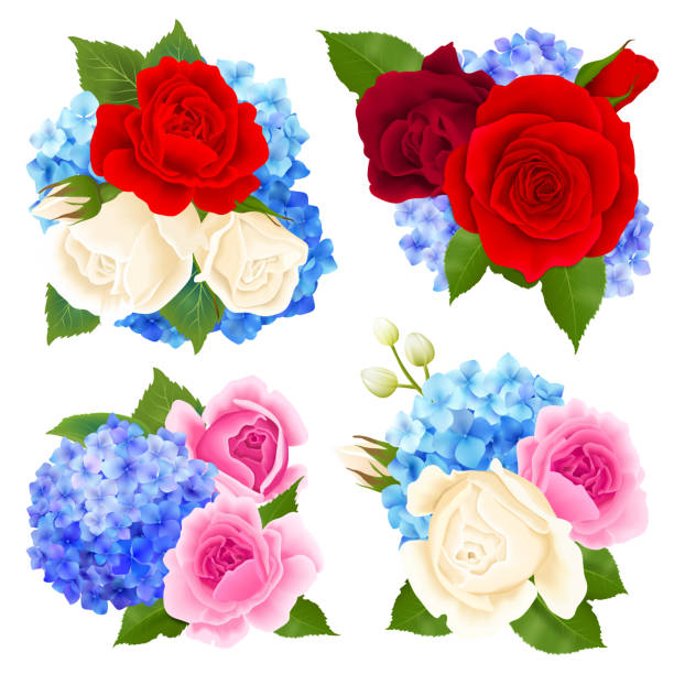 rosenstrauß-set - rose flower shop variation color image stock-grafiken, -clipart, -cartoons und -symbole