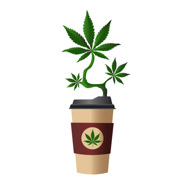 конопля в картонной чашке кофе. - backgrounds coffee addiction agriculture stock illustrations