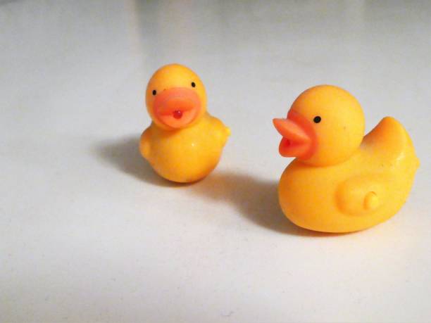 istock Two Cute Yellow Rubber Ducks on a White Background With Copy Space 1201186168
