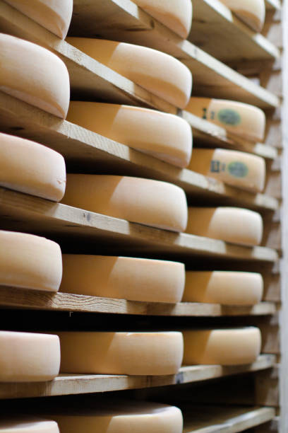 istock stack of refining and aging cheese, French Comte wheels, France 1201189584
