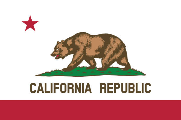 illustrazioni stock, clip art, cartoni animati e icone di tendenza di bandiera dello stato della repubblica della california. - los angeles county immagine