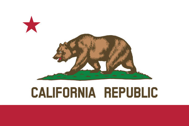 California Republic state flag. Vector of California Republic state flag. san francisco flag stock illustrations