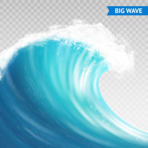 big wave transparent Big sea or ocean wave with spray, foam on crest and reflection on transparent background vector illustration breaking wave stock illustrations