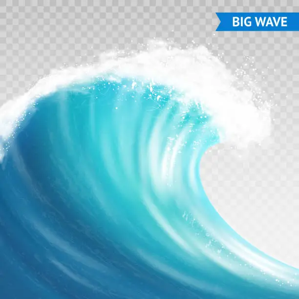 Vector illustration of big wave transparent