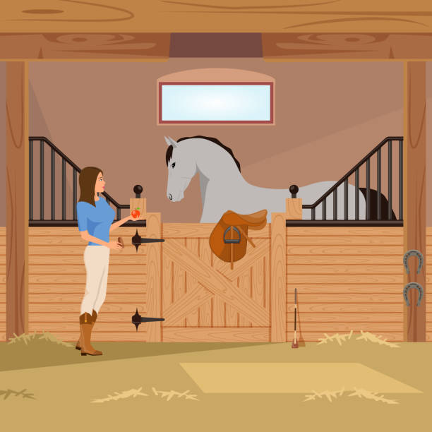 ilustrações de stock, clip art, desenhos animados e ícones de equestrian sports flat composition - horse stall stable horse barn