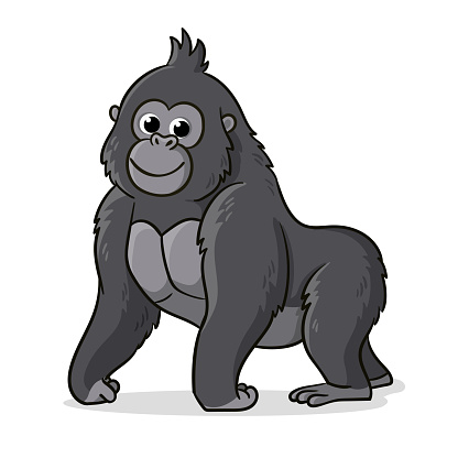Cute gray gorilla is standing on a white background. Vector illustration with an animal in cartoon style. The monkey is smiling.