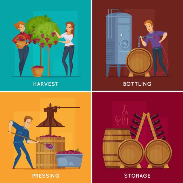 illustrazioni stock, clip art, cartoni animati e icone di tendenza di vigneto di produzione vinicola 2x2 - bottling plant winery wine industry