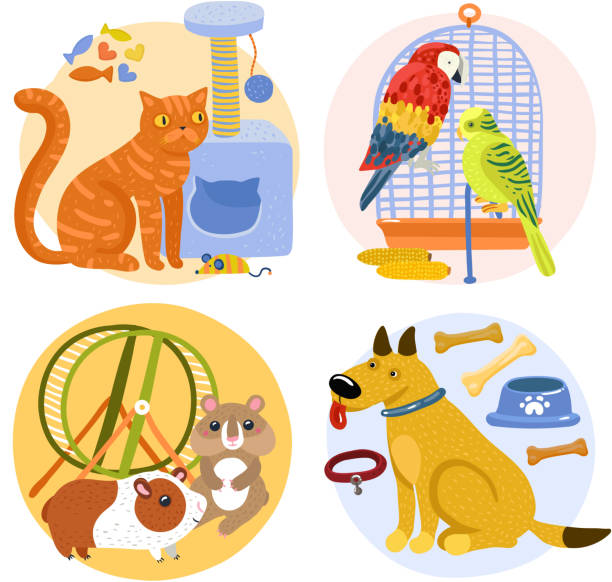 illustrations, cliparts, dessins animés et icônes de concept de conception pour animaux de compagnie - hamster cage birdcage isolated