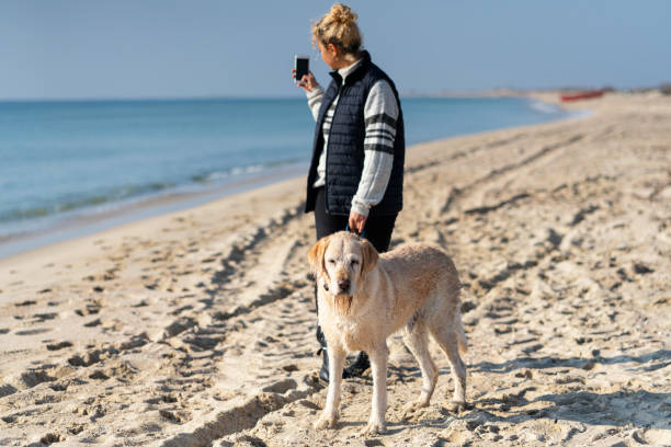 istock Young Woman with her dog on the beach 1201197956
