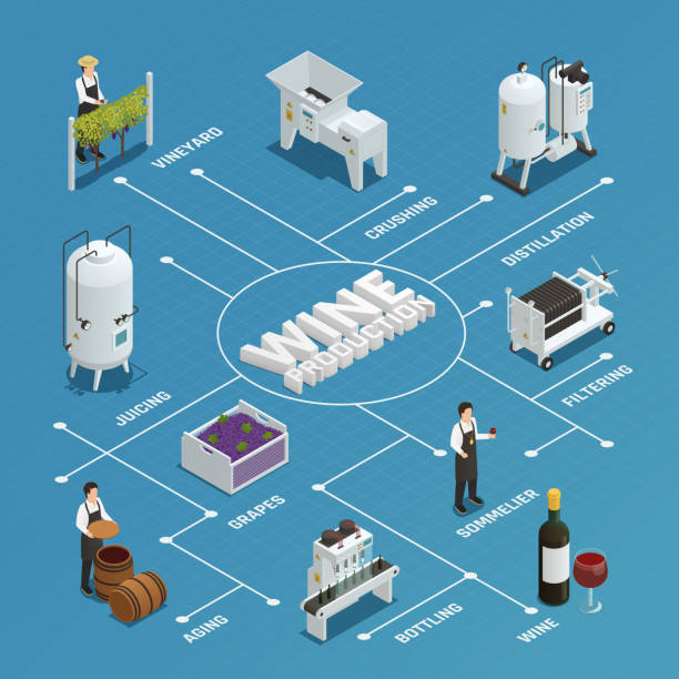 와인 생산 아이소메트릭 순서도 - bottling plant winery wine industry stock illustrations