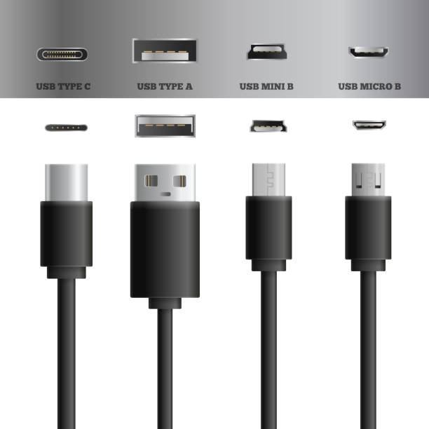 ilustrações, clipart, desenhos animados e ícones de tipos realistas de conectores de cabo usb - cable symbol computer cable telephone