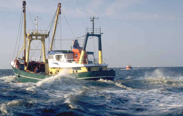 istock Fishermen boat in full sea 1201205228