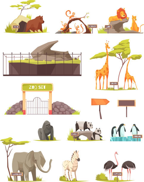 zoo tiere gesetzt - ostrich ape animal monkey stock-grafiken, -clipart, -cartoons und -symbole