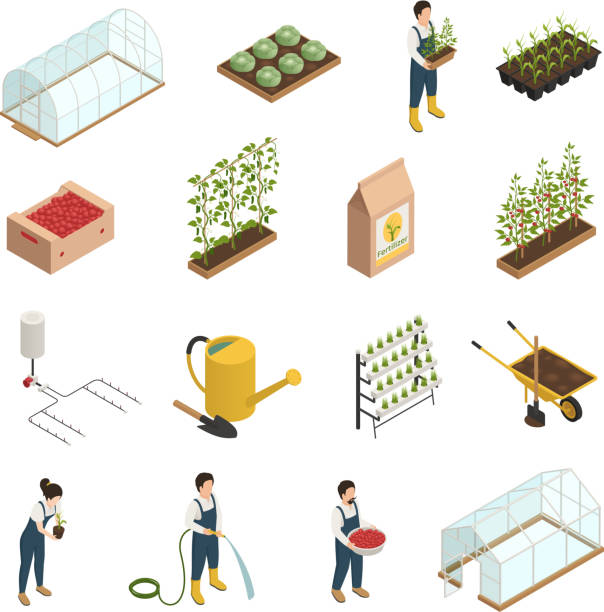 ilustrações de stock, clip art, desenhos animados e ícones de greenhouse isometric set - greenhouse house built structure green