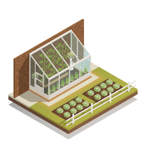 ilustrações de stock, clip art, desenhos animados e ícones de greenhouse isometric composition - construction frame plastic agriculture greenhouse