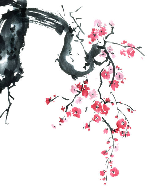 ilustrações de stock, clip art, desenhos animados e ícones de blossom sakura tree - clause