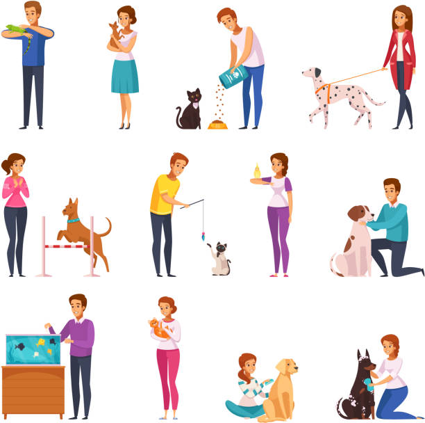 people with pets cartoon set People with pets isolated icons set of owners training feeding playing grooming their pets and walking with them cartoon vector illustration animals feeding stock illustrations